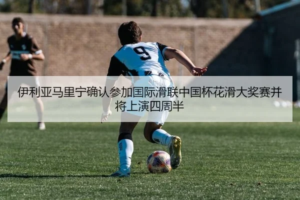 yi-li-ya-ma-li-ning-que-ren-can-jia-guo-ji-hua-lian-zhong-guo-bei-hua-hua-da-jiang-sai-bing-jiang-shang-yan-si-zhou-ban-2-993.jpg